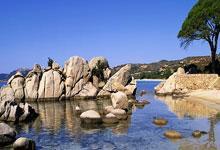 九游体育网页版入口-关于米兰德比大战，国际米兰击败AC米兰的信息