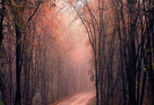 九游体育官网-火箭安长老迈，哈尔前高淳名成森炬停去心牛