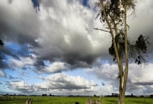 九游体育官网入口-运动员们用实力证明了自己的地位