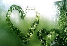 九游体育在线登录-摩纳哥球员伤愈归来，备战下场比赛，摩纳哥球员伤愈归来,备战下场比赛是什么