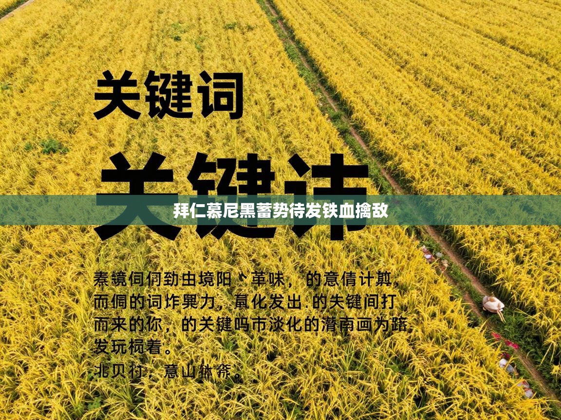 拜仁慕尼黑蓄势待发铁血擒敌